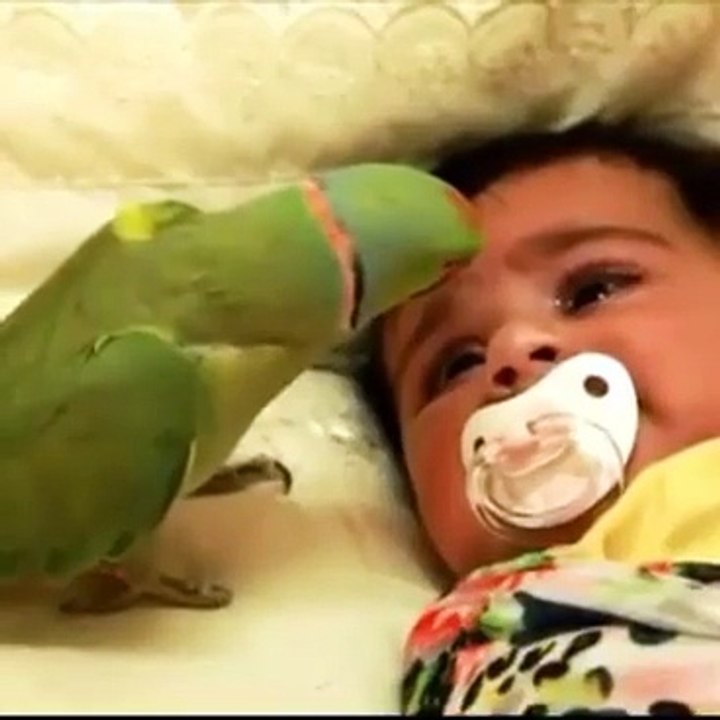 Perrot trying to quit child when he was crying