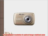 Panasonic Lumix DMC-S1 12.1 MP Digital Camera with 4x Optical Image Stabilized Zoom with 2.7-Inch