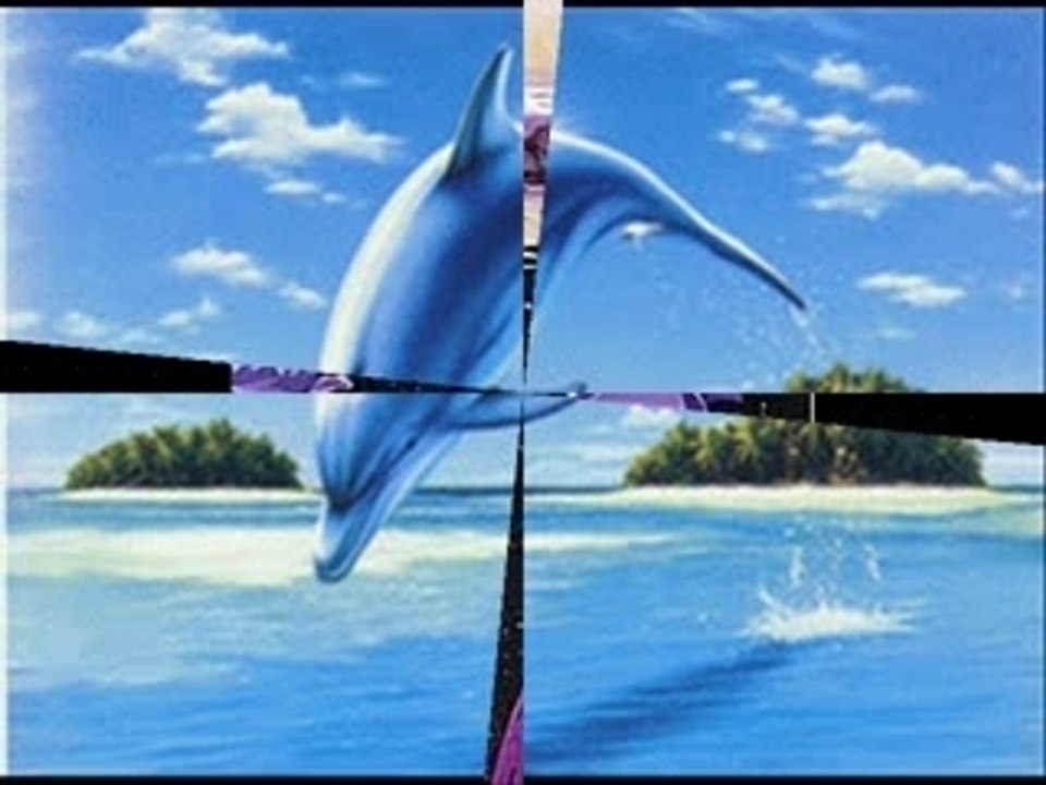 Dauphins