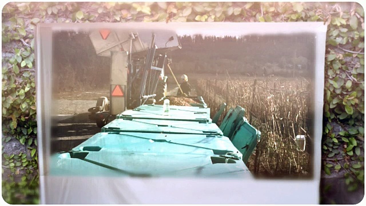 Niagara Wineries, Ice Wine Video, The Ice House Winery