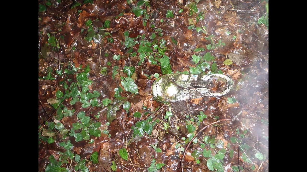 30 Janvier Lavault St Anne