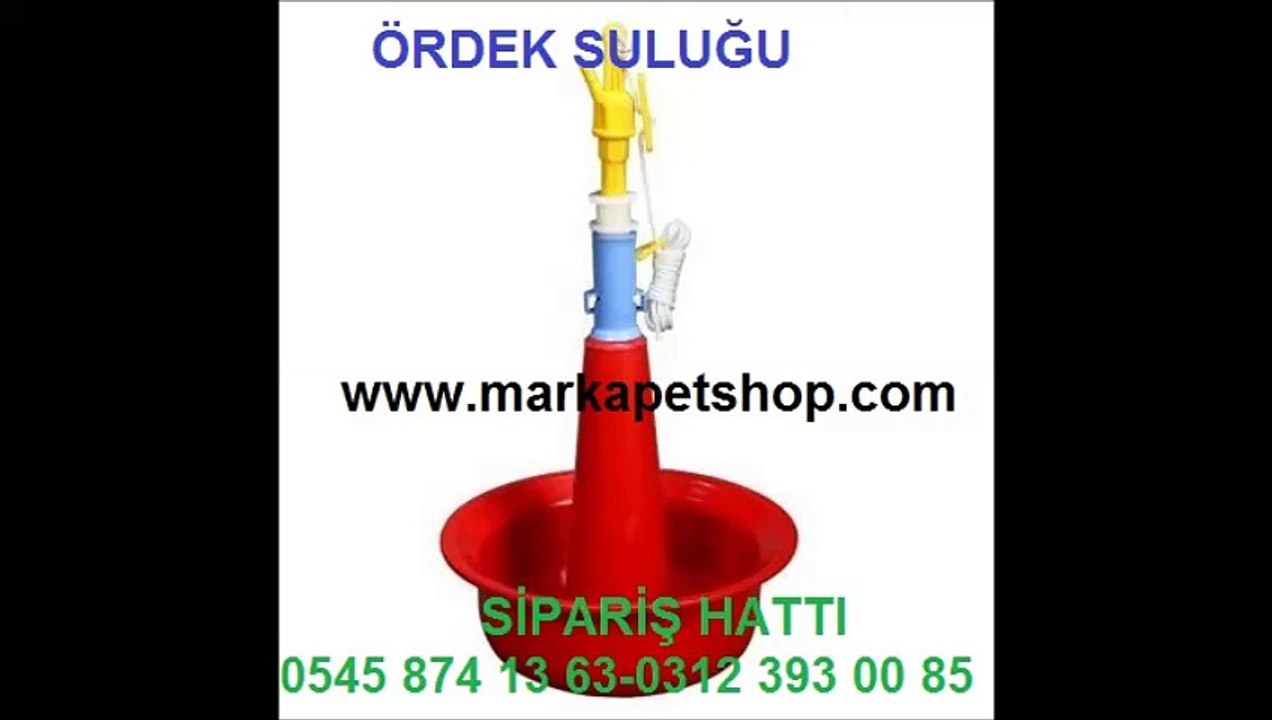 SÜLÜN SULUKLARI FİYATLARI,ÖRDEK SULUĞU ANKARA,SÜLÜN SULUĞU ANKARA,ÖRDEK SULUĞU SATIŞ,SÜLÜN SULUĞU SATIŞ