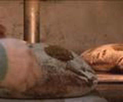 Barış Manço sevgisi ekmekte hayat buldu