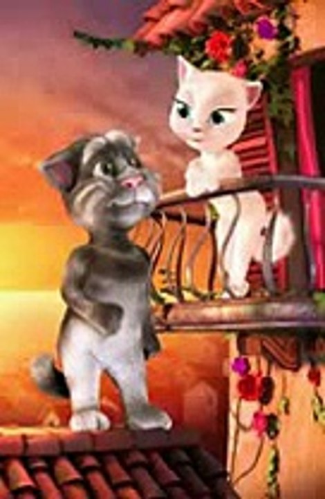funny Tom cat Maro Kanjriye