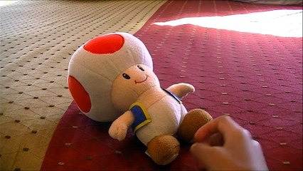 Toad's Huge Mistake