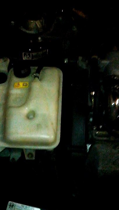 155 V6 CUSCINETTI