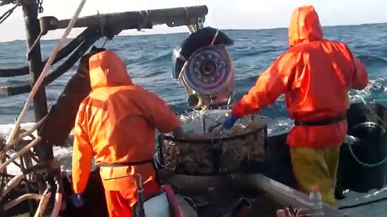 crabbing in washington