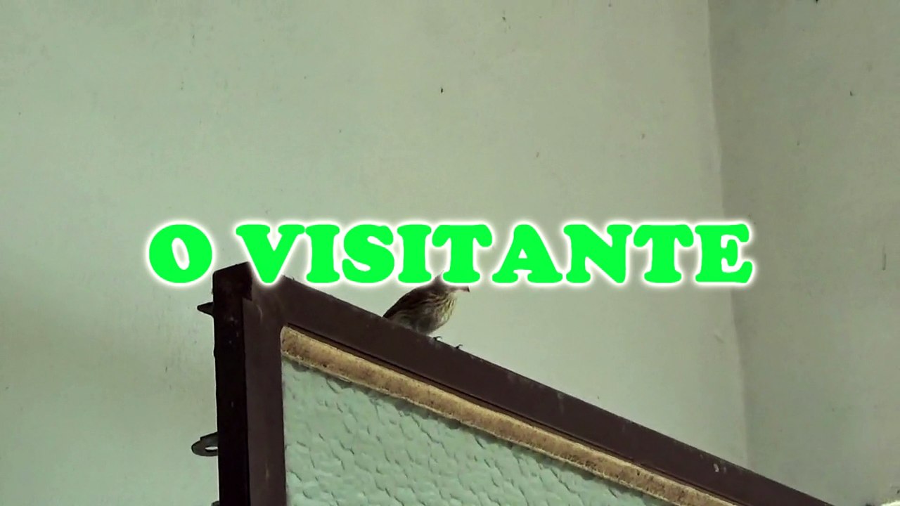 O Visitante