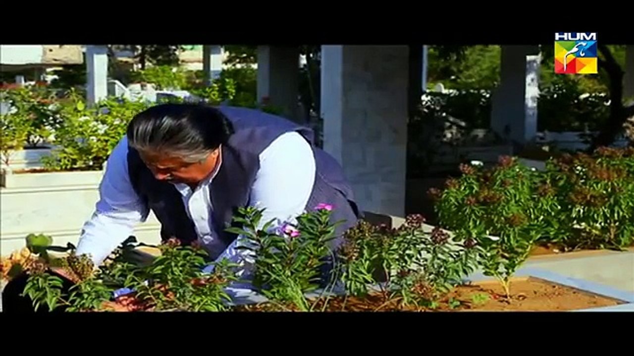 Zindagi+Tum+Ho+Episode+7+Full+HUM+TV+Drama+Jan+30,+2015
