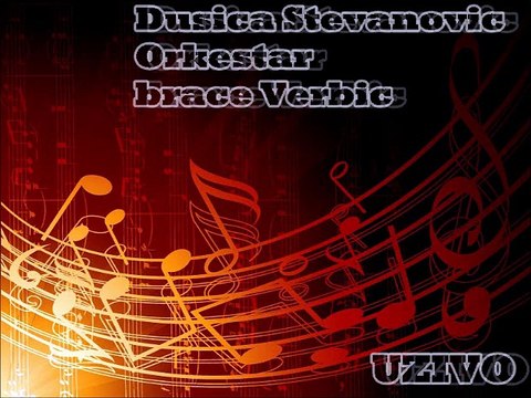 Dusica Stevanovic - Svratila Sam Samo Da Te Vidim (Uzivo).Mp3