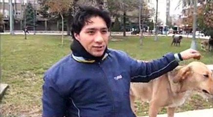 HAYVEN SEVER VE YOL VERME DUYARLILIĞI HAZIR