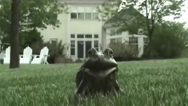 Compilation de cris amusants d'animaux