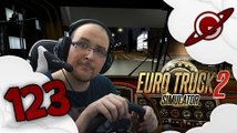 Euro Truck Simulator 2 | La Chronique du Routier #123: Que cherche un viewer?