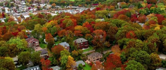 Простушка (2015)  Русский Трейлер