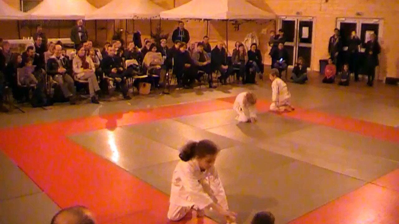 AIKIDO SOMBERNON DEC 2014 DEMOVSM