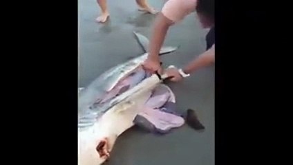 OMG!!!More Amazing Article , Please Visit http://buzzlife.com.tw/