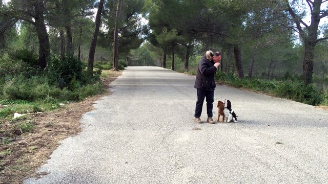 dressage canin la ciotat 13 Education canine la ciotat marche en laisse avec deux chiens