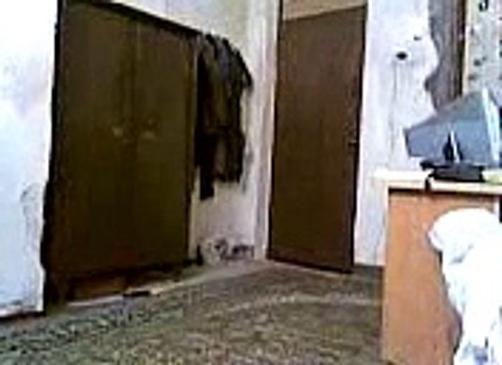 FUNNY CLIP