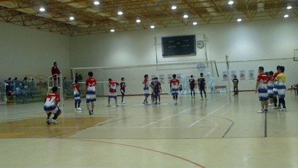 Forza vs. Pirates Set 1