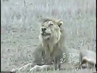 must see this videos Shar apni mouth apni ankoo say dak raha....