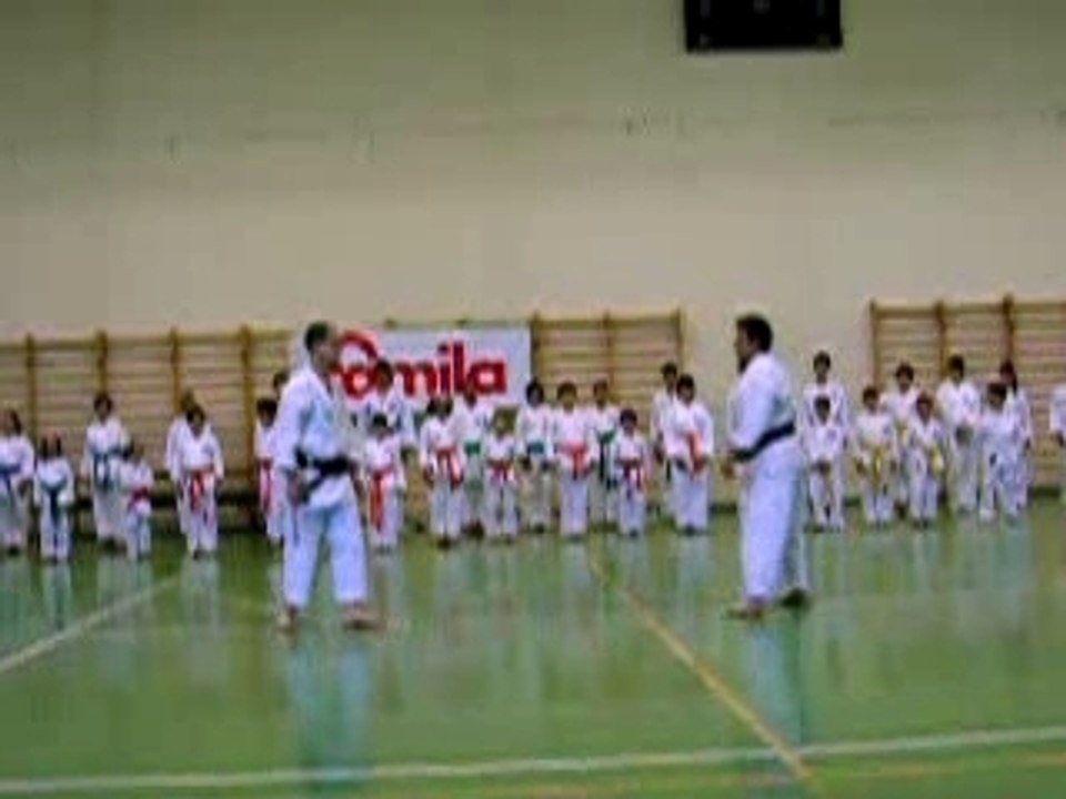 Karate Do Wado Ryu Tanbo Dori