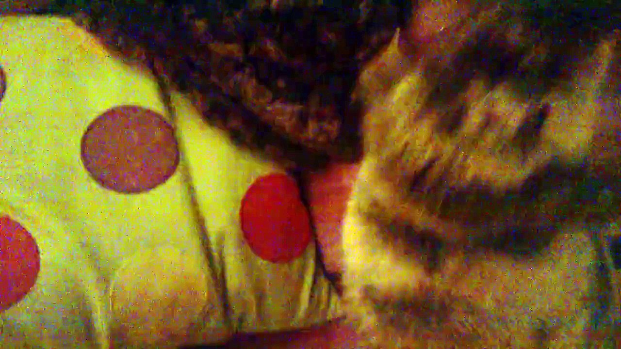Lapin s'amuse