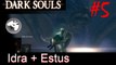Dark Souls - Soluzione - Idra2B Potenzionamento Fiaschetta Estus