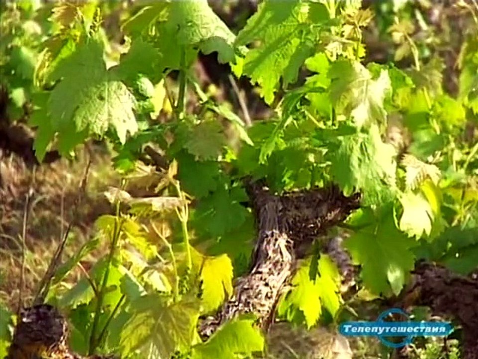 Красивейшие острова мира / The best Island of the World 05. Остров Афродиты [2005, SATRip]