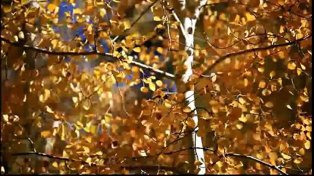 Dua - Junaid Jamshed Naat - Junaid Jamshed Videos