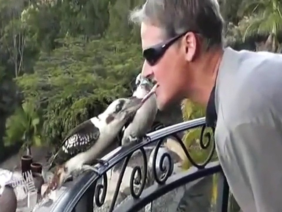 Incredible !!!