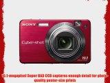 Sony Cybershot DSCW170/R 10.1MP Digital Camera with 5x Optical Zoom with Super Steady Shot