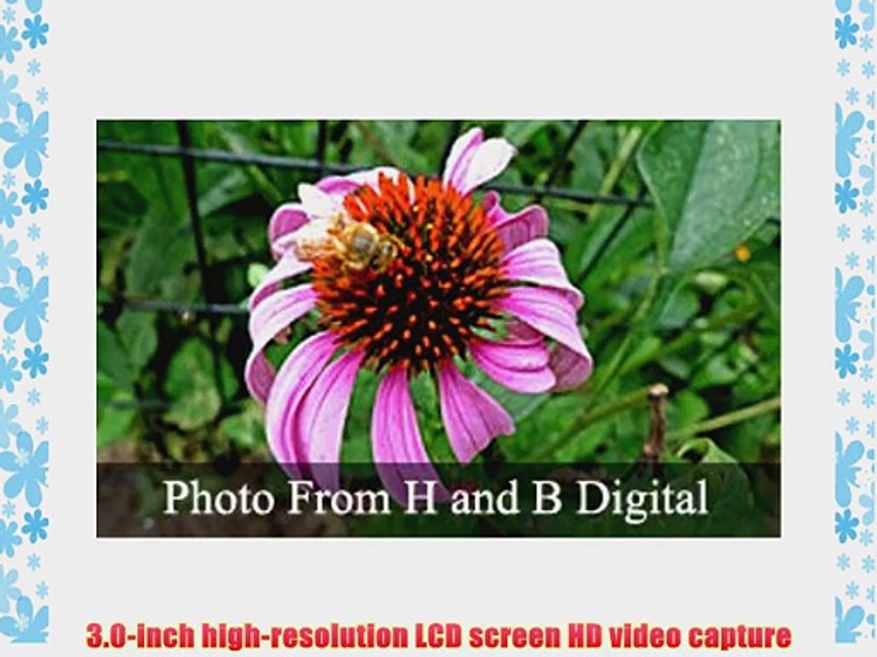 Panasonic DMC-LX3S 10.1MP Digital Camera with 2.5x Wide Angle MEGA Optical Image Stabilized