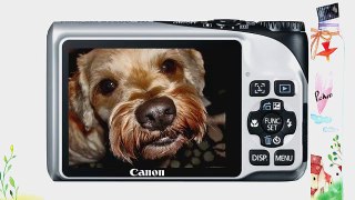 Canon Powershot A2200 14.1 MP Digital Camera with 4x Optical Zoom (Silver)