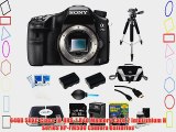 Sony A77II ILC-A77M2 A77M2 a77 II Digital SLR Camera - Body Only Bundle Includes camera 64GB
