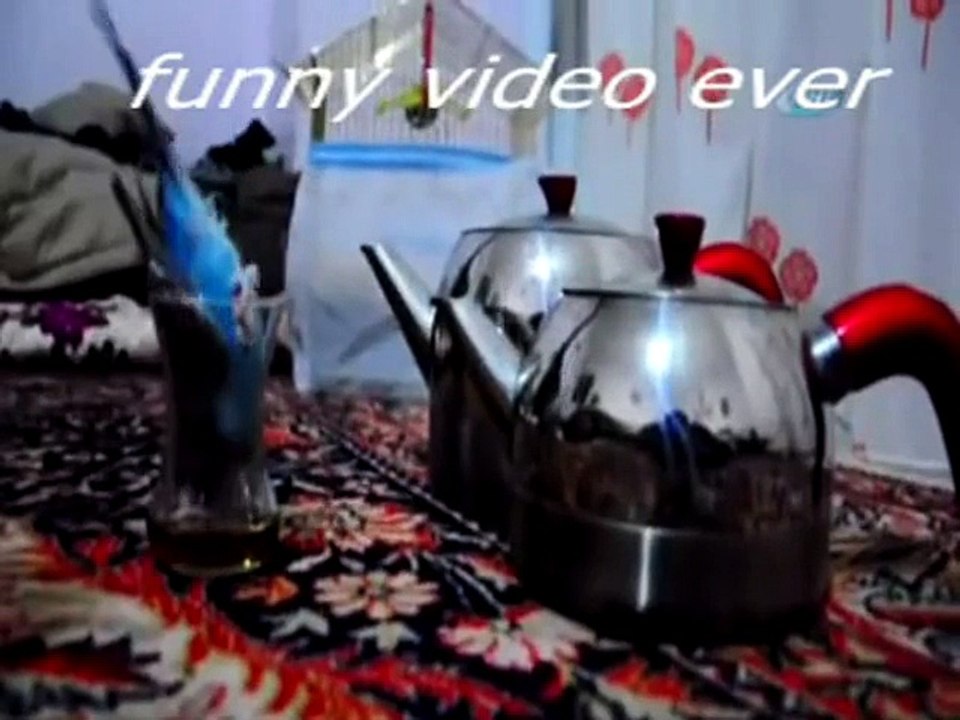 Check out this vid!!!