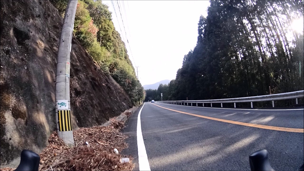 定点年末14