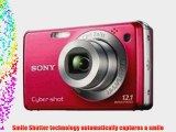 Sony Cybershot DSC-W190 12.1MP Digital Camera with 3x Super Steady Shot Stabilized Zoom and