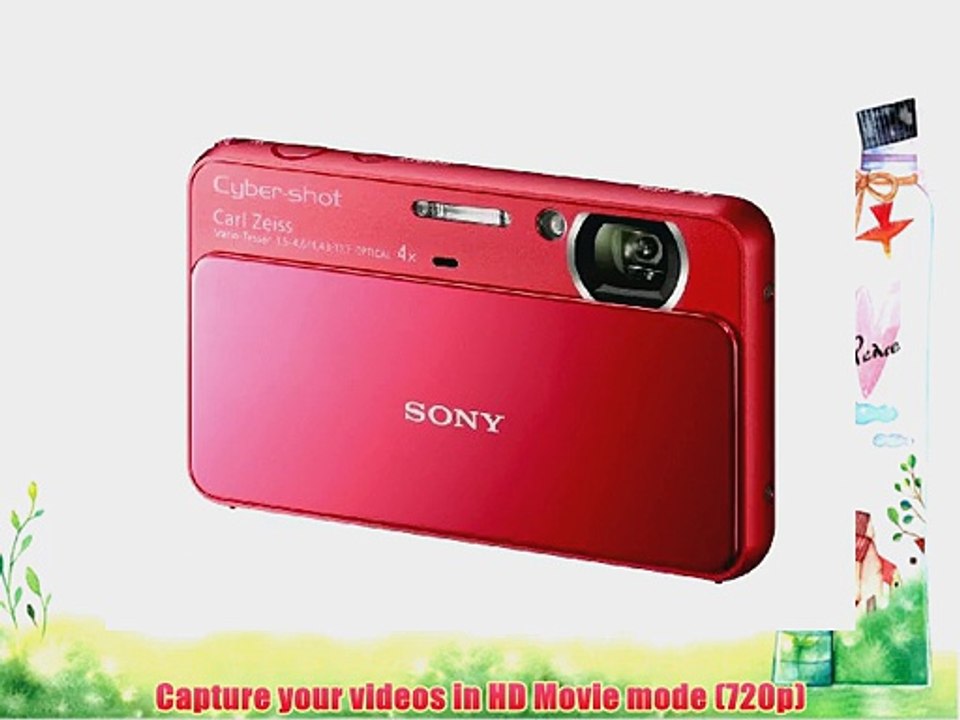 Sony Cyber-Shot DSC-T110 16.1 MP Digital Still Camera with Carl Zeiss Vario-Tessar 4x Optical