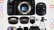 Sony Alpha SLT-A77 Translucent Mirror Digital SLR Camera - Body only with Sony DT 18-55mm f/3.5-5.6