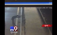 CCTV footage of man who jumped off Sea Link, Mumbai - Tv9 Gujarati