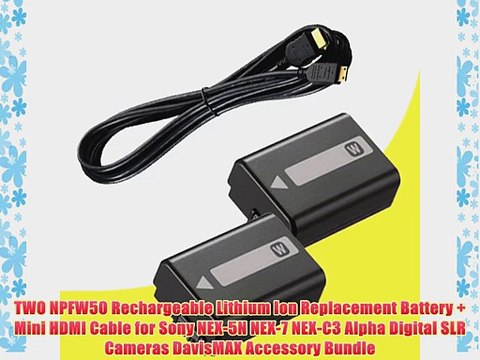 TWO NPFW50 Rechargeable Lithium Ion Replacement Battery Mini HDMI Cable for Sony NEX-5N NEX-7