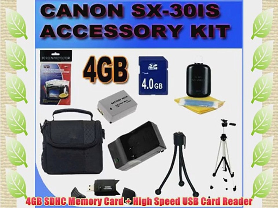 BVI Accessory Saver Bundle Kit For Canon Powershot SX30IS SX30 SX-30IS Digital Camera 4GB SDHC