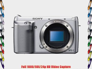 Sony NEX-F3/S 16.1 MP Compact System Camera Body Only (Silver)