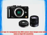 Panasonic Lumix DMC-GF1 Kit 12.1MP Micro Four-Thirds Interchangeable Lens Digital Camera with