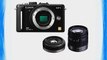 Panasonic Lumix DMC-GF1 Kit 12.1MP Micro Four-Thirds Interchangeable Lens Digital Camera with