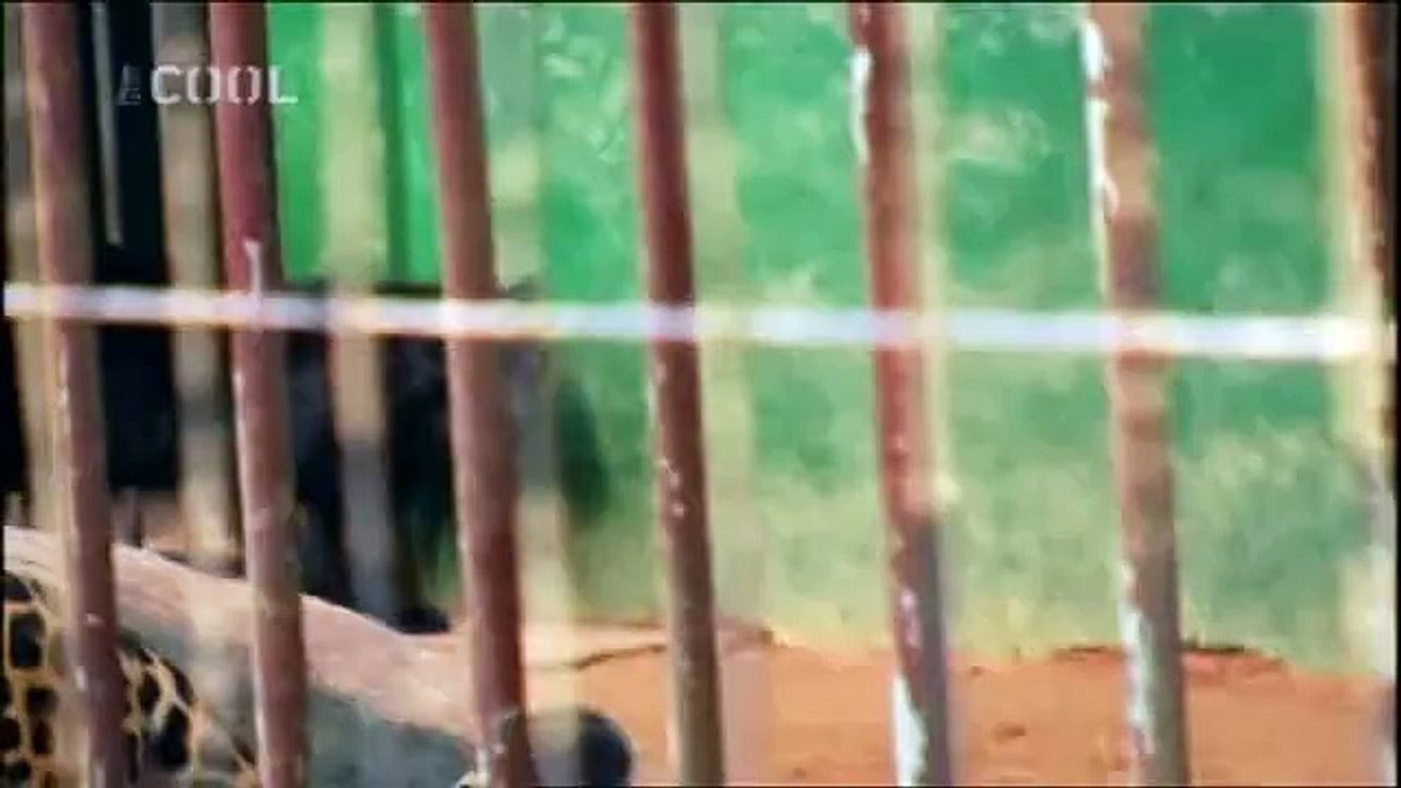 Dobyvatelé-ztracené-pravdy 2x5 Obří-lenochod-a-pterodaktyl