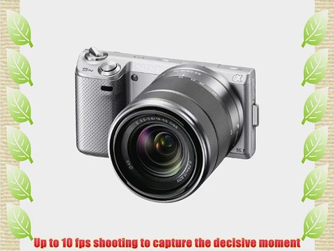 Sony NEX-5N 16.1 MP Compact Interchangeable Lens Touchscreen Camera With 18-55mm Lens (Silver)