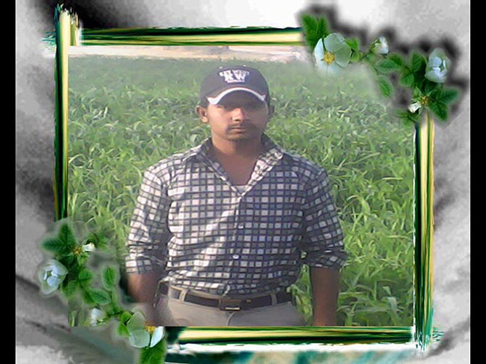 sajid chohan.  choty birthdy MSC