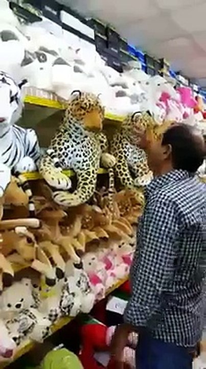 sheer kii patai