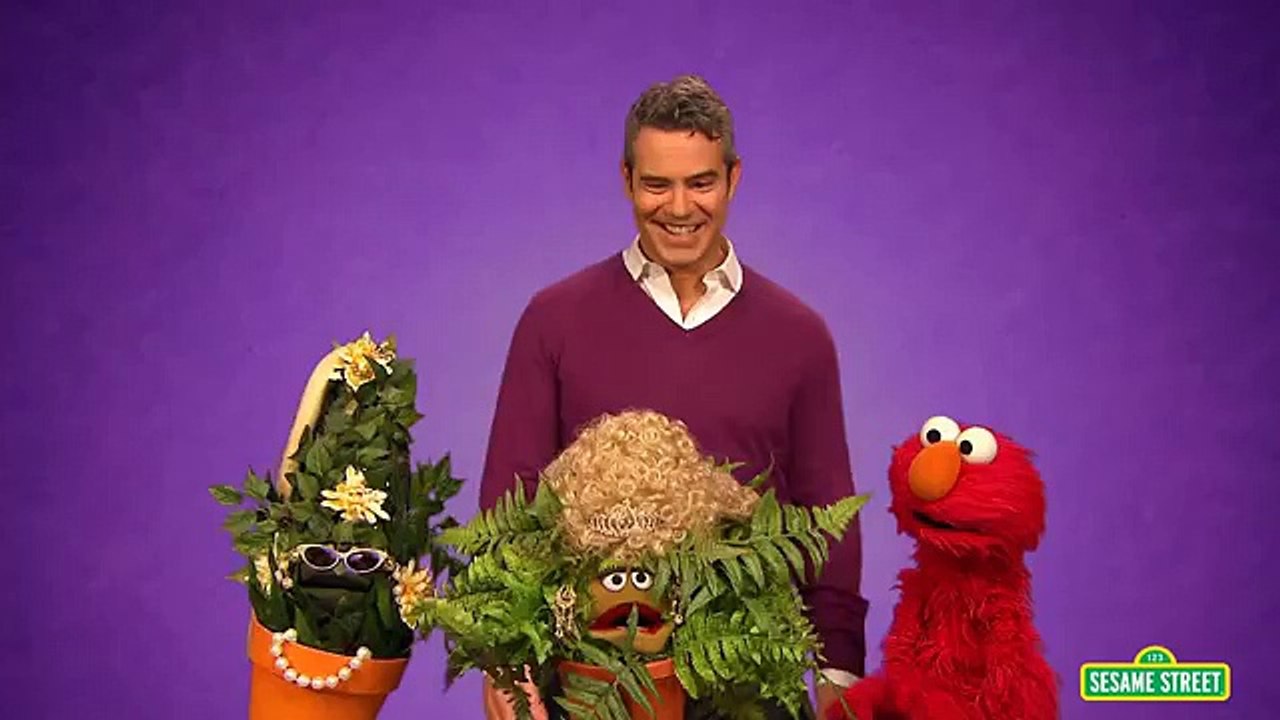 Sesame Street  What is Popular  Elmo and Andy Cohen Decide.
